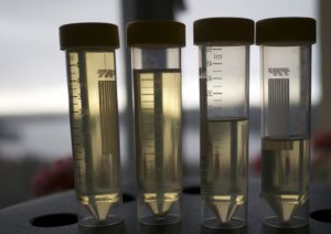 Härligt bleka bourbonlagrade whiskies. Nej, inte urinprov.